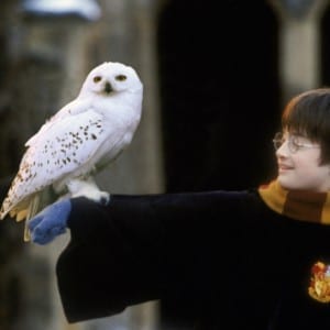 Quiz Scuole Harry Potter