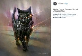 Supereroi Marve Black Panther