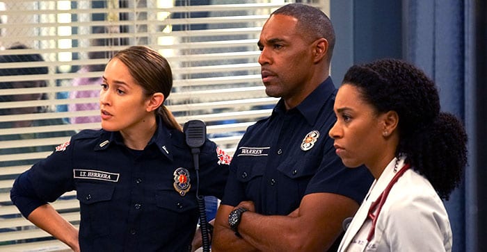 Grey's Anatomy 15 Station 19 2 crossover