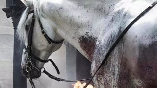 game of thrones cavallo bianco