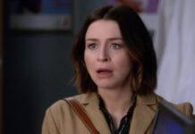 grey's anatomy 16 amelia caterina scorsone