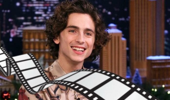 Crea il tuo film con Timothée Chalamet e ti diremo come va a finire! - QUIZ