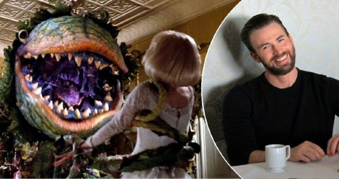 little shop of horrors film chris evans