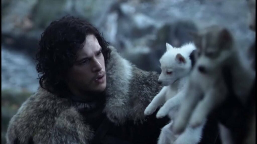 Che Casata Di Game Of Thrones Sei