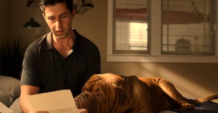 Turner E Il Casinaro Serie Tv Streaming Ita