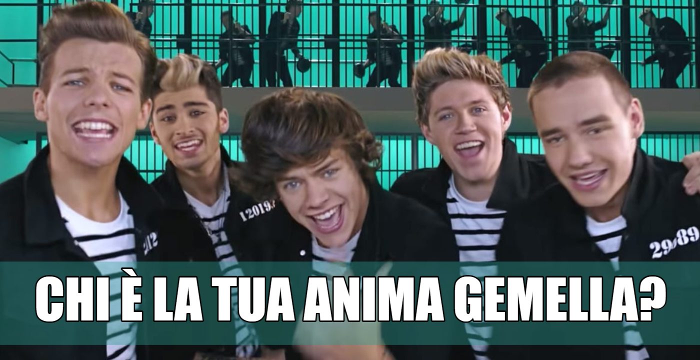 anima gemella one direction quiz