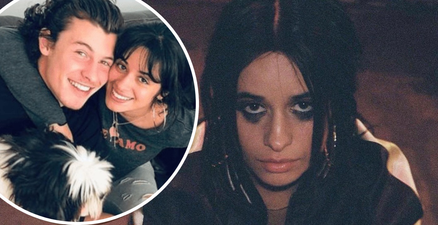 camila cabello shawn mendes bam bam significato