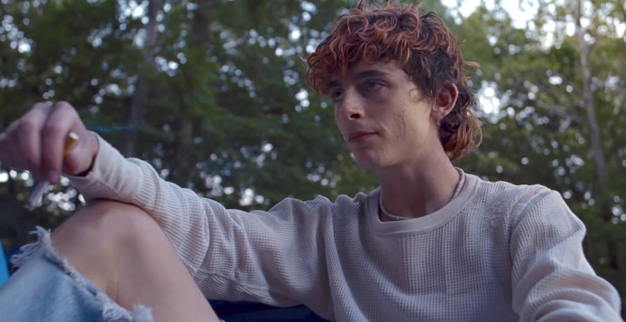 Festival Cinema Venezia 2022 Bones and All Timothée Chalamet