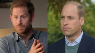 harry accusa william attacco