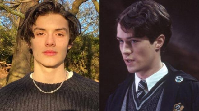 serie TV remake Harry Potter fancasting attori Louis Partridge tom riddle