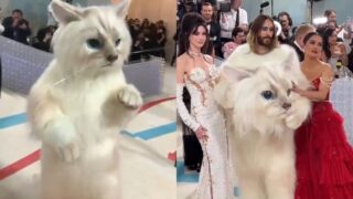 perché JARED leto vestito gatto met gala 2023