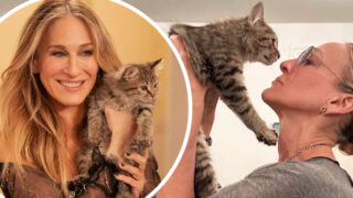And Just Like That, Sarah Jessica Parker adottato gatto stagione 2