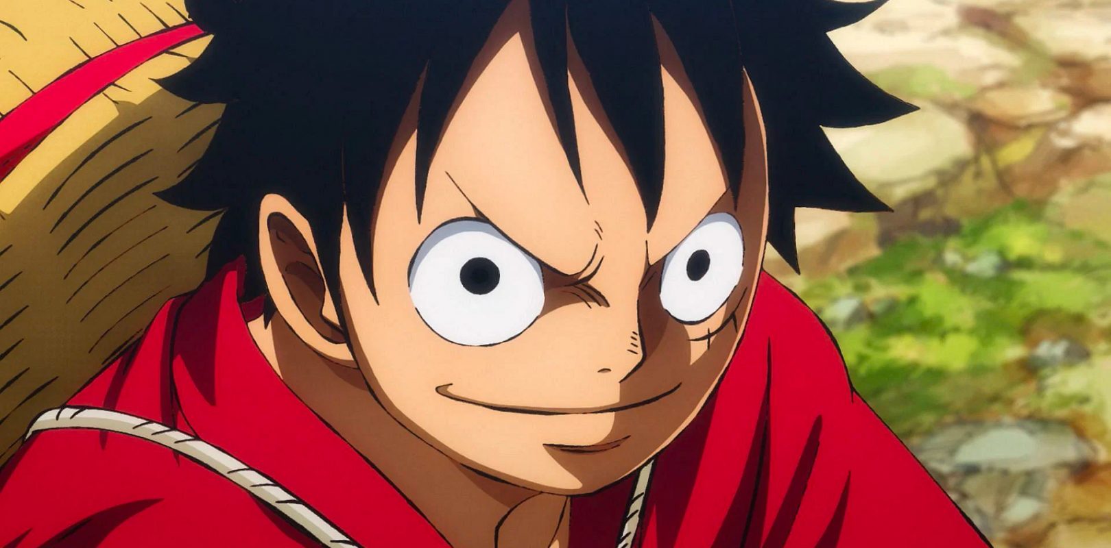 d luffy