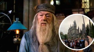 Universal Studios Orlando salutano Michael Gambon bacchette