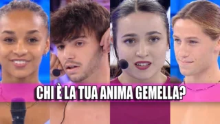 allievo serale amici 23 anima gemella quiz