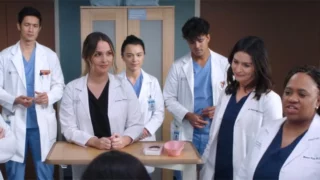 Grey's Anatomy 21 stagione anticipazioni, uscita streaming