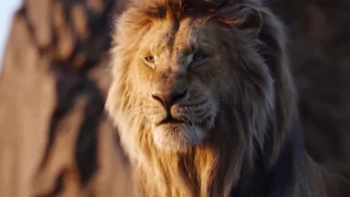 Mufasa Il Re Leone live action uscita, trama e streaming