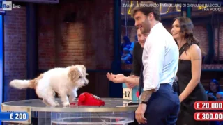 affari tuoi stasera 13 gennaio 2026